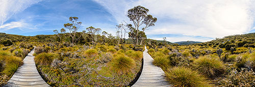360 panorama of Track to Crater Lake, Cradle Mountain